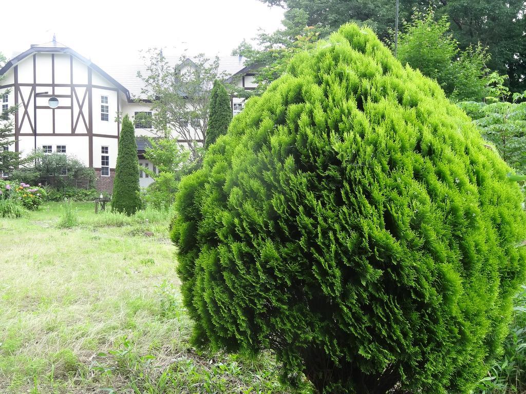 Gasthof Arutany Nasu Extérieur photo